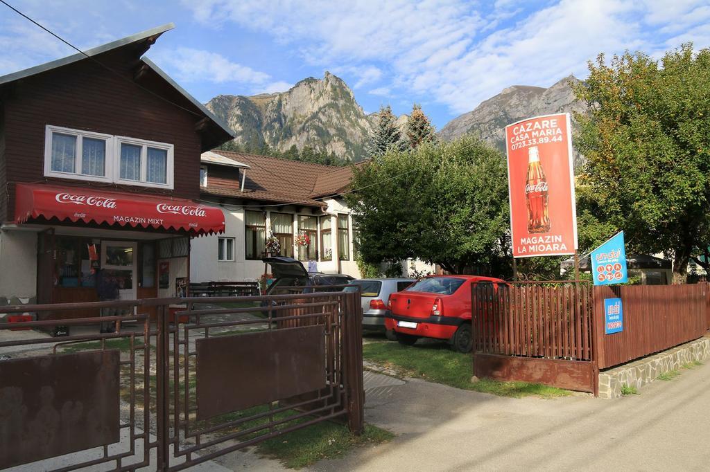 Casa Maria Busteni - Poiana Tapului Exterior foto